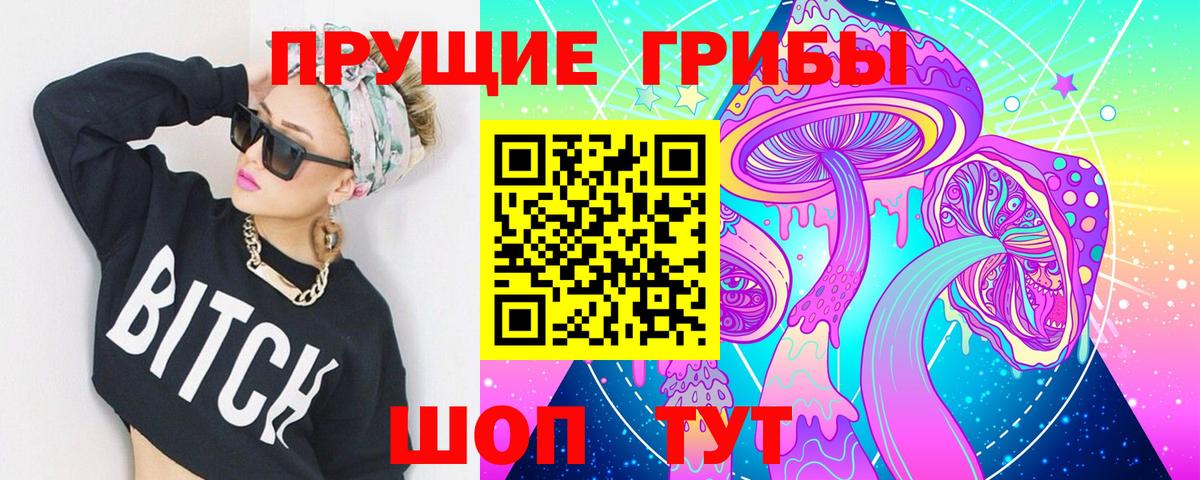 Братск  Псилоцибиновые грибы MAGIC MUSHROOMS  Вход с VPN 