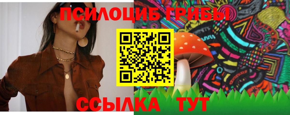 Галлюциногенные грибы Cubensis Братск