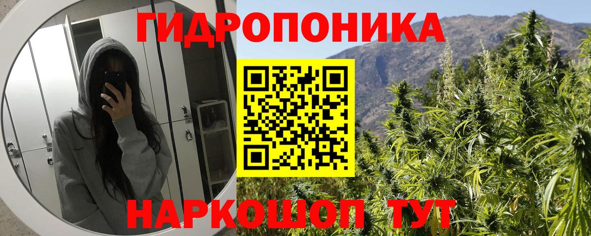Канабис Bruce Banner Братск